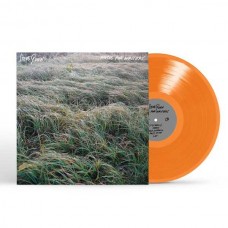 STEVE GUNN-MUSIC FOR WRITERS -COLOURED- (LP)
