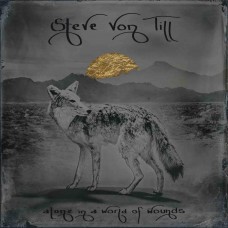 STEVE VON TILL-ALONE IN A WORLD OF WOUNDS (CD)
