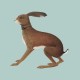 VASHTI BUNYAN-LOOKAFTERING (2CD)