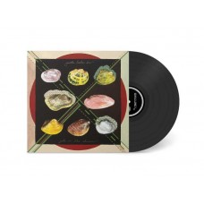 GENTLE LEADER XIV-JOKE IN THE SHADOW (LP)