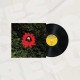 LIONMILK-WHEN THE FLOWERS BLOOM (LP)