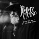 JIMMY VIVINO-GONNA BE 2 OF THOSE DAYS (CD)