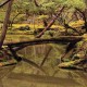 REBECCA FOON & ALIAYTA FOON-DANCOES-REVERIE (CD)