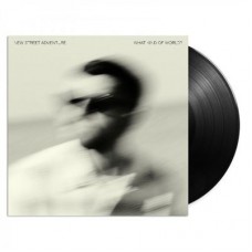 NEW STREET ADVENTURE FEAT. NICK CORBIN-WHAT KIND OF LIFE (LP)