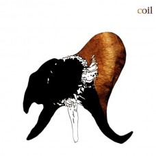 COIL-BLACK ANTLERS (CD)