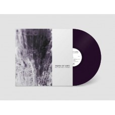 FAWNS OF LOVE-WHO CARES ABOUT TOMORROW (LP)