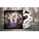 OMINOUS RUIN-REQUIEM -COLOURED- (LP)
