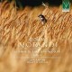 LUCA SARTORE-GIOVANNI MORANDI: COMPLETE ORGAN WORKS VOL. 6 (CD)