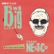 SWR BIG BAND-THE MUSIC OF SAMMY NESTICO - MORE THAN JUST FRIENDS (CD)