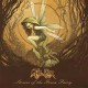 RINN-STORIES OF THE GREEN FAIRY (CD)