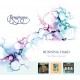 RENAISSANCE-RUNNING HARD - THE ALBUMS 1974-1976 -BOX- (4CD)