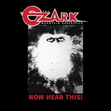 OZARK MOUNTAIN DAREDEVILS-NOW HEAR THIS (LP)