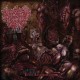 INTESTINAL SODOMY-EROTIC EXSANGUINATION (CD)