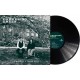 KYLE MORGAN & TAMAR KORN-DARKENING GREEN (LP)