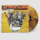 LEFTOVER SALMON-LET'S PARTY ABOUT IT -COLOURED/ANNIV- (LP)