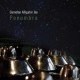 GAMELAN ALLIGATOR JOY-PENUMBRA (CD)