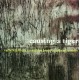 CARLA KIHLSTEDT-CAUSING A TIGER (CD)
