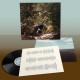 TY SEGALL-POSSESSION (LP)