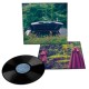 EIKO ISHIBASHI & JIM O'ROURKE-PAREIDOLIA (LP)