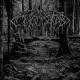 WOLVES IN THE THRONE ROOM-2005 DEMO (CD)