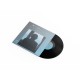 JIM O'ROURKE-SHUTTING DOWN HERE (LP)