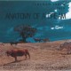 LORENZO IORIO-ANATOMY OF A DREAM (CD)