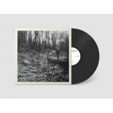 TOPOGRAPHIES-INTERIOR SPRING (LP)
