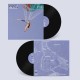 CORAL GRIEF-AIR BETWEEN US (LP)