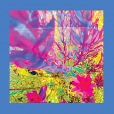 REDS, PINKS & PURPLES-THE PAST IS A GARDEN I NEVER FED (CD)