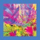 REDS, PINKS & PURPLES-THE PAST IS A GARDEN I NEVER FED (CD)