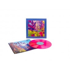 REDS, PINKS & PURPLES-THE PAST IS A GARDEN I NEVER FED -COLOURED- (LP)