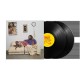 AMINE-13 MONTHS OF SUNSHINE (2LP)