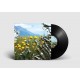 N KRAMER & MAGNUS BANG OLSEN-PASTORAL BLEND (LP)