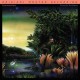 FLEETWOOD MAC-TANGO IN THE NIGHT -HQ- (LP)