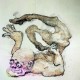 LOINS-AFTERGLOW (LP)