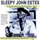 SLEEPY JOHN ESTES-THE VICTOR, DECCA & BLUEBIRD RELEASES 1929-41 (2CD)