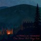 TRAVELIN' MCCOURYS-ONE CHORD THAT RINGS TRUE (LP)