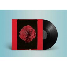 ACTIVITY-A THOUSAND YEARS IN ANOTHER WAY (LP)