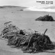 THINKING FELLERS UNION LOCAL 282-TANGLE (LP)