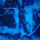 SKYMENDER-SKYMENDER (CD)