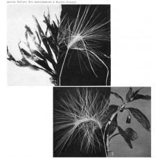 ANDREW PEKLER-NEW ENVIRONMENTS & RHYTHM STUDIES (LP)