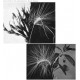 ANDREW PEKLER-NEW ENVIRONMENTS & RHYTHM STUDIES (LP)