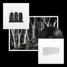 THESE NEW PURITAINS-CROOKED WING (LP)