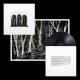 THESE NEW PURITAINS-CROOKED WING (LP)