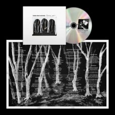 THESE NEW PURITAINS-CROOKED WING (CD)