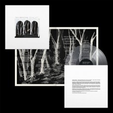 THESE NEW PURITAINS-CROOKED WING -COLOURED- (LP)