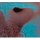 PINK FLOYD-MEDDLE (CD)