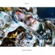 TUOMAS PAUKKU-PEACES (CD)