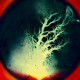TZESNE-RECEPTORES (CD)