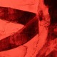 LOTUS MATTER-IN LIMBO PT. 1 (CD)